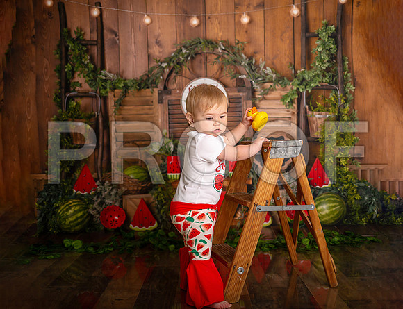 Kansas City Watermelon Cake Smash Photographer | First Birthday Portraits