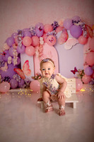 Kansas City Cake Smash Photographer | Butterfly Theme Portraits | Heather Sears Photography