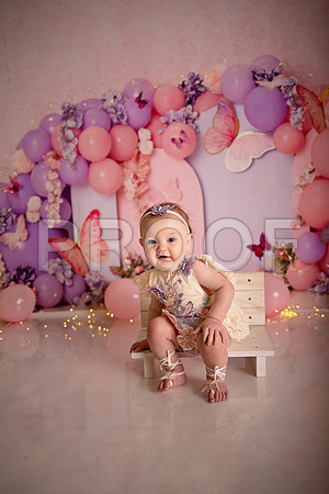 Kansas City Cake Smash Photographer | Butterfly Theme Portraits | Heather Sears Photography