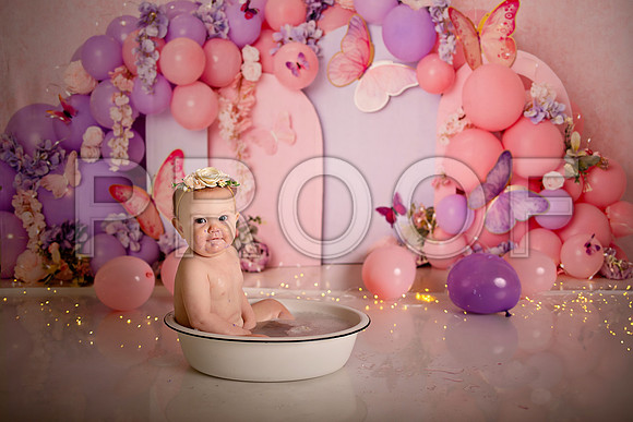 Kansas City Cake Smash Photographer | Butterfly Theme Portraits | Heather Sears Photography