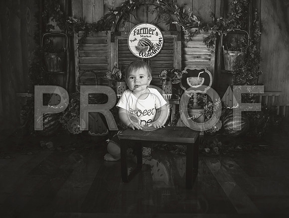 Kansas City Watermelon Cake Smash Photographer | First Birthday Portraits