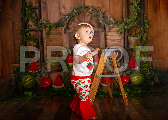 Kansas City Watermelon Cake Smash Photographer | First Birthday Portraits