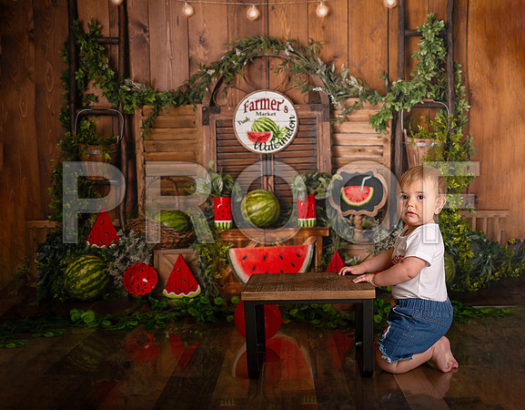 Kansas City Watermelon Cake Smash Photographer | First Birthday Portraits