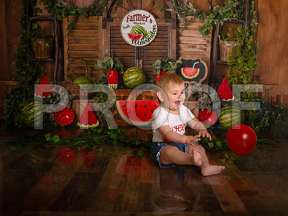 Kansas City Watermelon Cake Smash Photographer | First Birthday Portraits