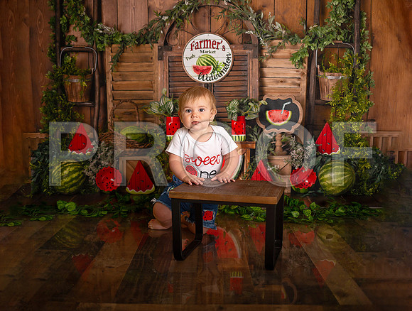 Kansas City Watermelon Cake Smash Photographer | First Birthday Portraits