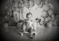 Kansas City Cake Smash Photographer | Butterfly Theme Portraits | Heather Sears Photography
