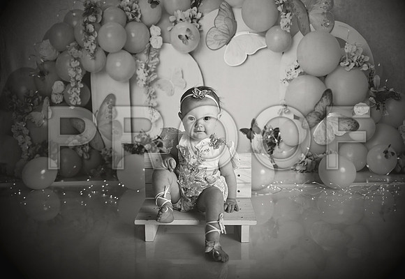 Kansas City Cake Smash Photographer | Butterfly Theme Portraits | Heather Sears Photography