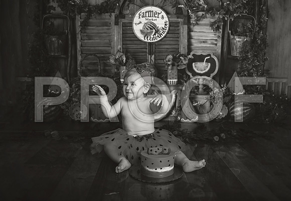 Kansas City Watermelon Cake Smash Photographer | First Birthday Portraits