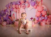 Kansas City Cake Smash Photographer | Butterfly Theme Portraits | Heather Sears Photography