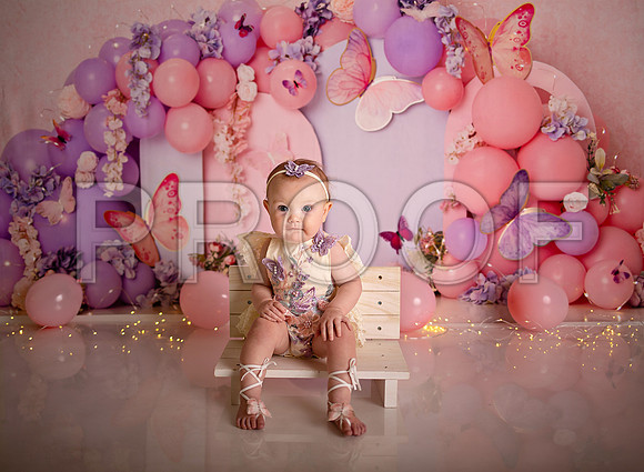 Kansas City Cake Smash Photographer | Butterfly Theme Portraits | Heather Sears Photography