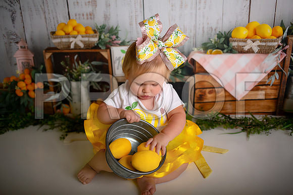 Kansas City Lemon-Themed Cake Smash Photography | Heather Sears Photography