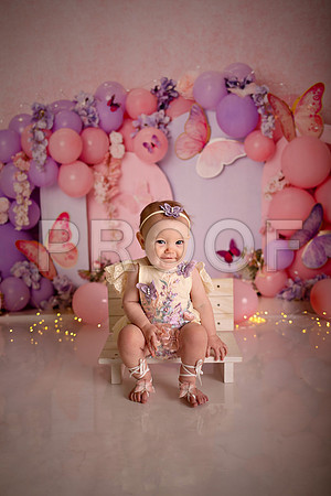 Kansas City Cake Smash Photographer | Butterfly Theme Portraits | Heather Sears Photography