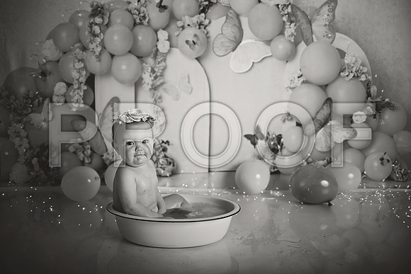 Kansas City Cake Smash Photographer | Butterfly Theme Portraits | Heather Sears Photography