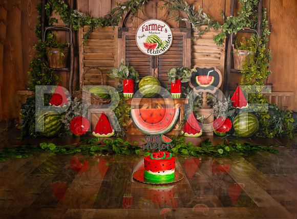 Kansas City Watermelon Cake Smash Photographer | First Birthday Portraits