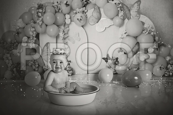 Kansas City Cake Smash Photographer | Butterfly Theme Portraits | Heather Sears Photography