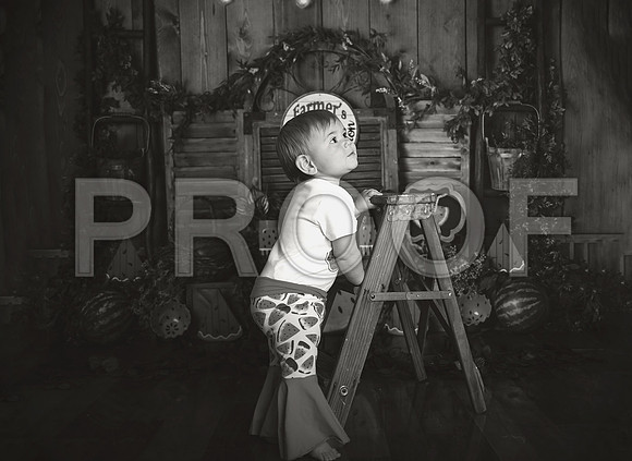 Kansas City Watermelon Cake Smash Photographer | First Birthday Portraits