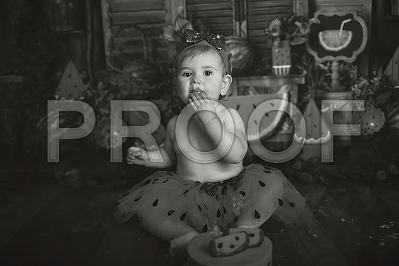 Kansas City Watermelon Cake Smash Photographer | First Birthday Portraits