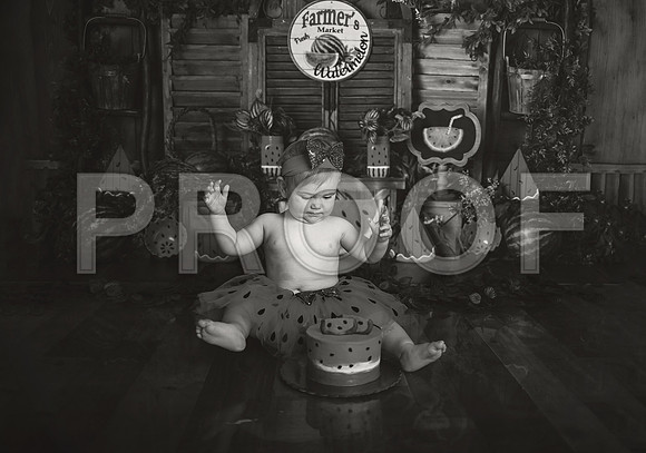 Kansas City Watermelon Cake Smash Photographer | First Birthday Portraits