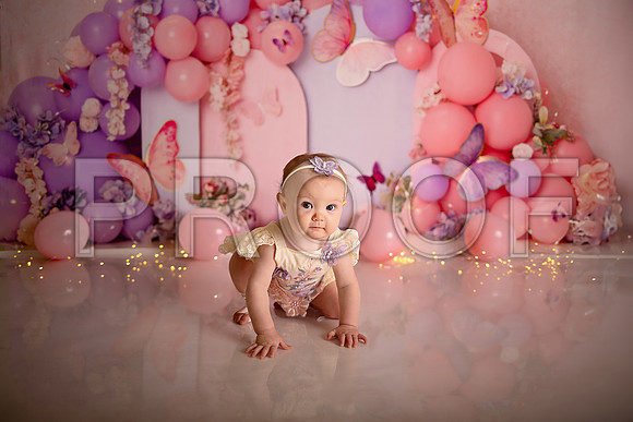 Kansas City Cake Smash Photographer | Butterfly Theme Portraits | Heather Sears Photography