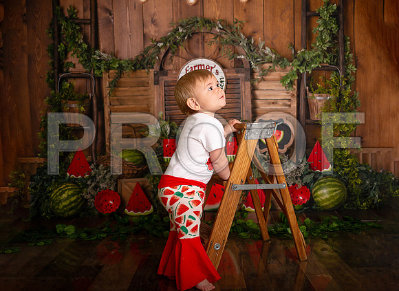 Kansas City Watermelon Cake Smash Photographer | First Birthday Portraits