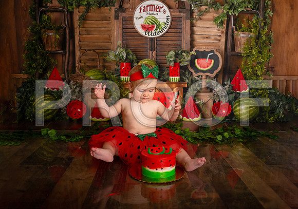 Kansas City Watermelon Cake Smash Photographer | First Birthday Portraits
