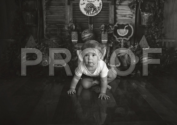 Kansas City Watermelon Cake Smash Photographer | First Birthday Portraits