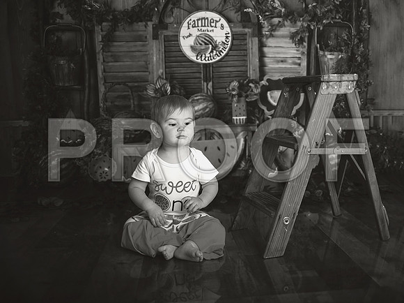 Kansas City Watermelon Cake Smash Photographer | First Birthday Portraits