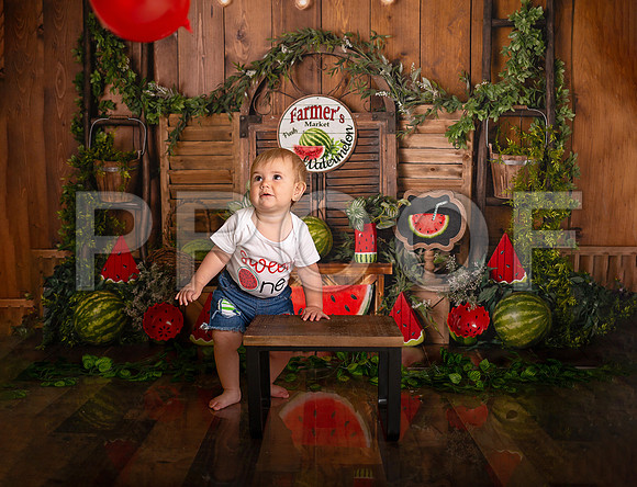 Kansas City Watermelon Cake Smash Photographer | First Birthday Portraits