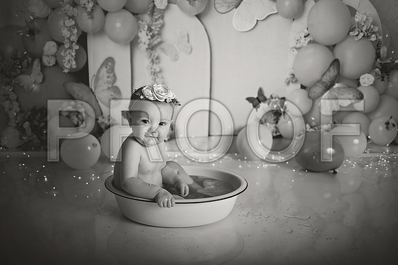 Kansas City Cake Smash Photographer | Butterfly Theme Portraits | Heather Sears Photography