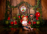 Kansas City Watermelon Cake Smash Photographer | First Birthday Portraits