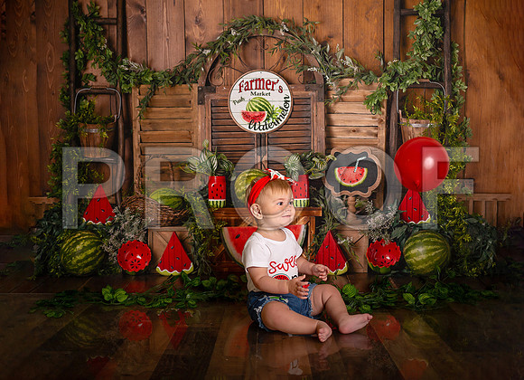 Kansas City Watermelon Cake Smash Photographer | First Birthday Portraits