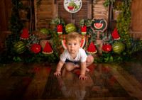 Kansas City Watermelon Cake Smash Photographer | First Birthday Portraits