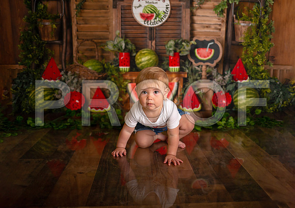 Kansas City Watermelon Cake Smash Photographer | First Birthday Portraits